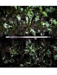 SQ-350-SS Par Bar Sensörü